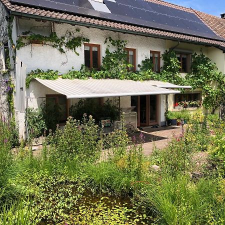Ferienhaus Mit Naturgarten Dachsen Exteriör bild