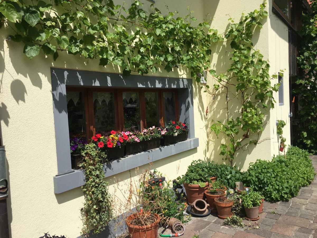 Ferienhaus Mit Naturgarten Dachsen Exteriör bild
