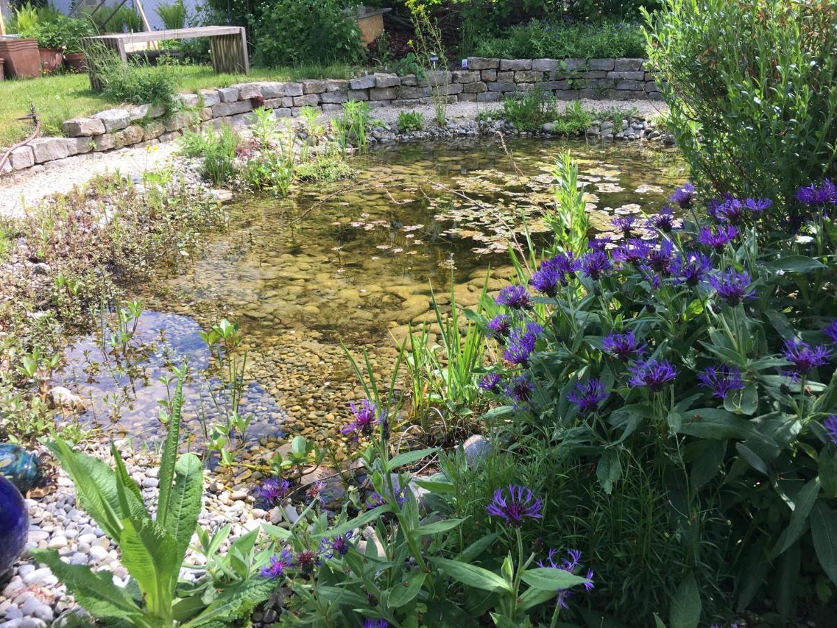 Ferienhaus Mit Naturgarten Dachsen Exteriör bild